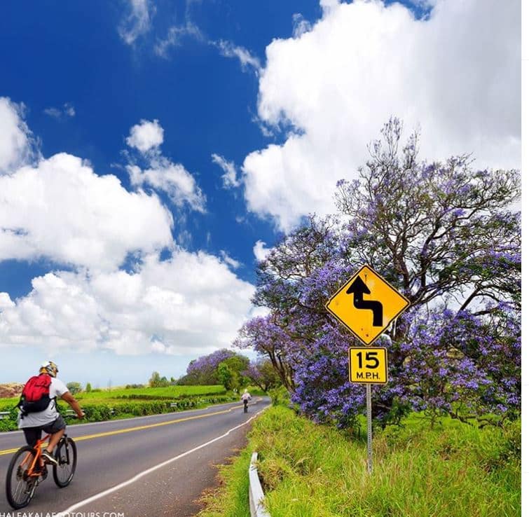 Haleakala Biking Company Promo image Haleakala Biking Company Promo image