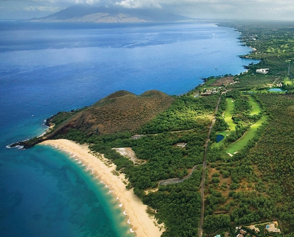 Maui Tomorrow promo image Maui Tomorrow promo image