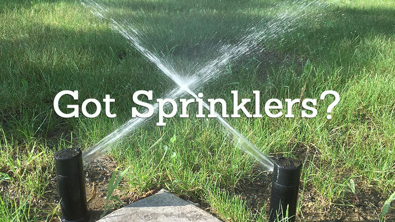 Gus Vigneux landscaping-sprinkler pic