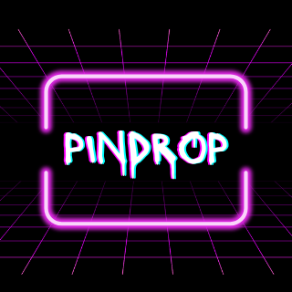 Pindrop Clothing logo