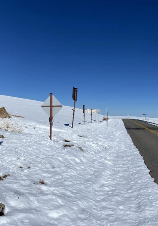 Shenanigans Show Page